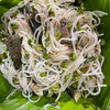 ยำขนมจีน