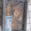 ผัดไทยกุ้งสดจ้า