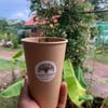 รสชาติดี  ดื่มแล้วสดชื่น ต้องลอง