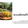 ข้าวกะเพราเนื้อพริกแห้งไข่ข้น