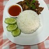 ข้าวหมูทอด ข้าวหมูทอด