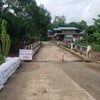 สะพานข้ามไปต้นไม้ยักษ์