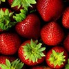 MENU_333944wc_1635398048