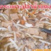 MENU_972928FL_1635738060