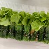 โรลสาหร่าย