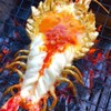 MENU_769169zc_1637047969