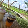 นมสดเย็น