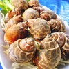 หอยหวานเผา