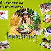 เพจโคตรปลาเผาสาขา5