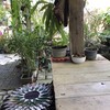 บรรยากาศร้าน