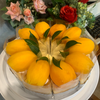 MENU_555139MZ_1645846110