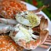 MENU_1261261Ip_1646221360