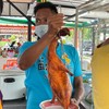 เป็ดย่าง ใหญ่ เนื้อเยอะ