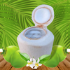 MENU_580389Cl_1647228544