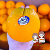 MENU_1561311iF_1649303050
