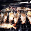 กุ้งแม่น้ำ