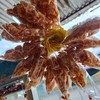 MENU_704037sQ_1653354569