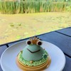 Frog cake 120.-🐸