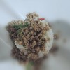 MENU_1057119TL_1653920339
