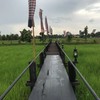 สถานที่นี้เหมาะกับทุกเพศทุกวัย มีร้านอาหารให้บริการและวิวของบรรยากาศรวมถึงการทอผ
