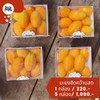 MENU_310017tl_1662909552