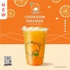 Codesom Orange (M)