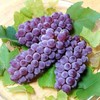 MENU_1071044BY_1667668775