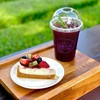  " Fresh Fruit Cake "(150THB) & " Mulberry Juice "(100THB) 