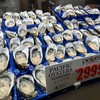 Pacific Oyster Standard