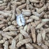 multiChannel