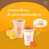 ชานมไข่มุกฟักทอง และ  นมน้ำตาลแดงไข่มุกฟักทอง เหลือเพียง 195 บาท (จากปกติ 235 บา