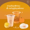 ชาดำยูซุไข่มุกฟักทอง และ ชานมไข่มุกฟักทอง เหลือเพียง 195 บาท (จากปกติ 235 บาท)