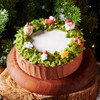 DQ Cake Festive-Product Shot-Christmas Forrest-1000x1000