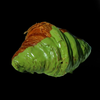 MENU_1783398pF_1671358702