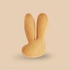 Rabbit Cookie