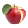 MENU_1124006tf_1672881901