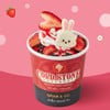 ช็อกโกแลต แรบบิท สตรอว์เบอร์รี่ ไอศกรีม 290 g.