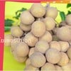 ลำไยตัดสดหน้าสวน รับประทานได้มั่นใจ
โทรเลย 0629259766