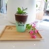 MENU_2062542CM_1675215298