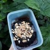 MINI ORIO CAKE 🎂🍫 MINI ORIO CAKE 🎂🍫