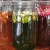 Kombucha