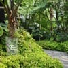 Timber Tales Cafe and Bistro Khaoyai