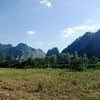 พืชสวนไร่นาของชาวบ้าน