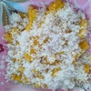 ข้าวโพดคลุกมะพร้าว ข้าวโพดคลุกมะพร้าว