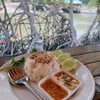 ข้าวขโมยแมว