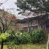 Yangmingshan National Park