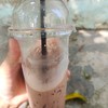 แก้วละ 24.- บาท