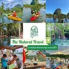 The natural travel ยินดีให้บริการค่ะ สนใจติดต่อสอบถามรายละเอียดได้นะคะ