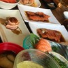 salmon set 