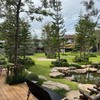 Nice place !